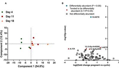 Luteal Lipids Regulate Progesterone Production and May Modulate Immune Cell Function During the Estrous Cycle and Pregnancy